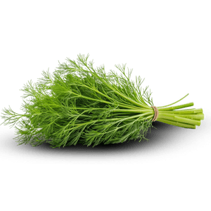 Dried Dill