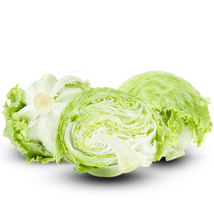 Iceberg Lettuce / Lettuce 