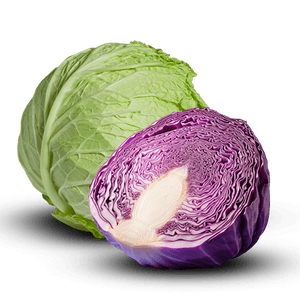 Cabbage 