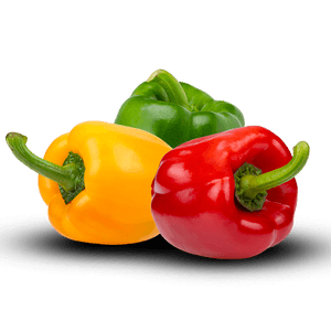 Bell pepper