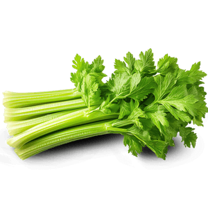 Celery